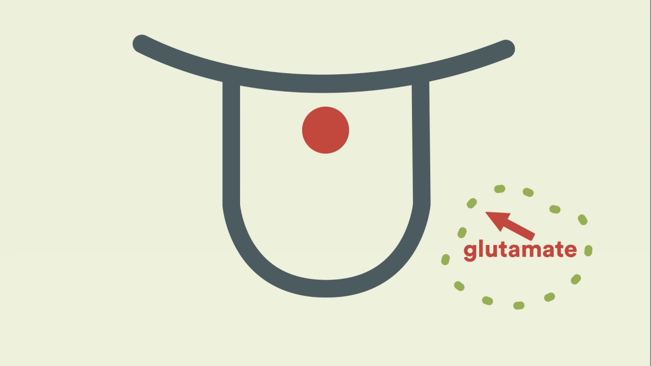 A history of the fifth taste