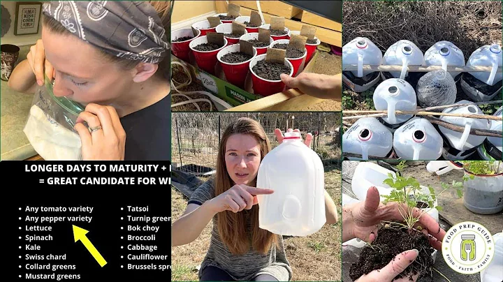 Seed Starting: What Garden Centers WON'T Tell You thumbnail