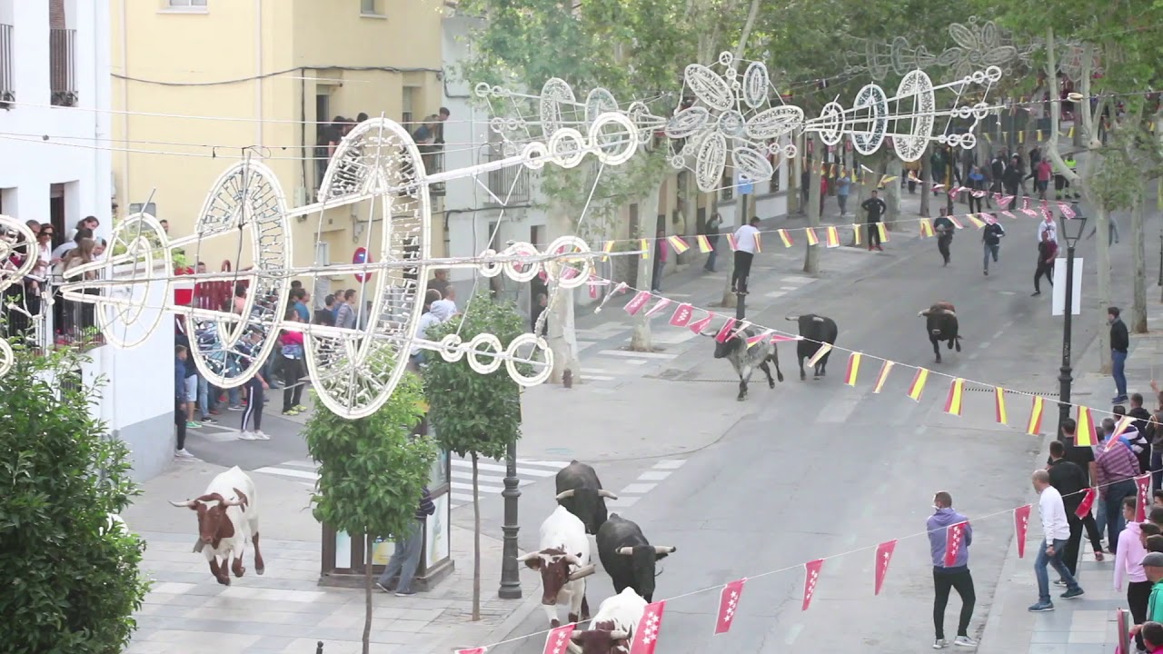 Quinto día de encierros de las Fiestas Patronales de Arganda del Rey (13-9-19)
