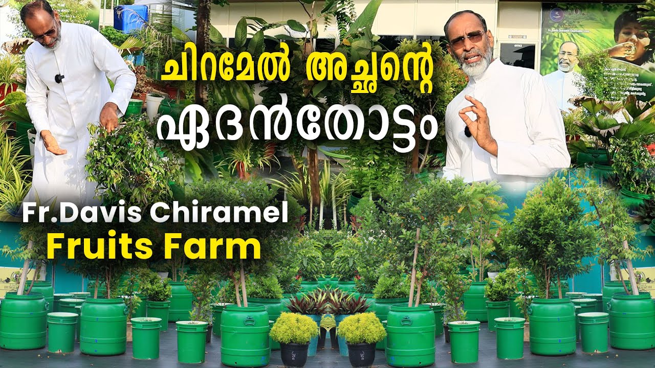ചിറമേൽ അച്ഛന്റെ സ്വർ​ഗം | സൗജന്യമായി പഴങ്ങൾ പറിച്ച് കഴിച്ചും വ്യായാമം ചെയ്തും ആരോ​ഗ്യം സംരക്ഷിക്കാം