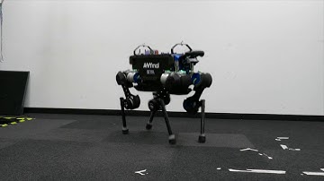 Online Motion Optimization and Whole-Body Control for Quadrupedal Robots