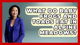 What Do Baby Frogs And Toads Eat In Alpine Meadows? - Reptilian Wonders