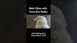 8545 Old Kings Rd S, Jacksonville  FL 32217