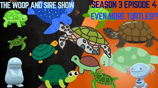 Season 3 Episode 4: Even More Turtles!