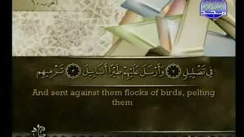 105 Surat Al Fîl The Elephant سورة الفيل