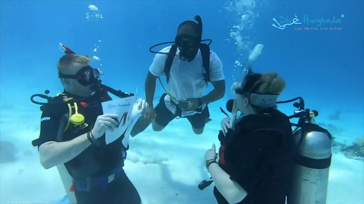 Red Sea scuba diving marriage proposal