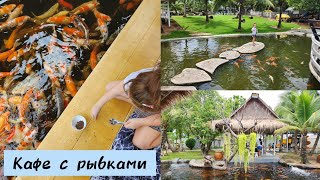 Паттайю заливает / Готовим с Машей / В кафе с рыбками / 25-26.05.2024