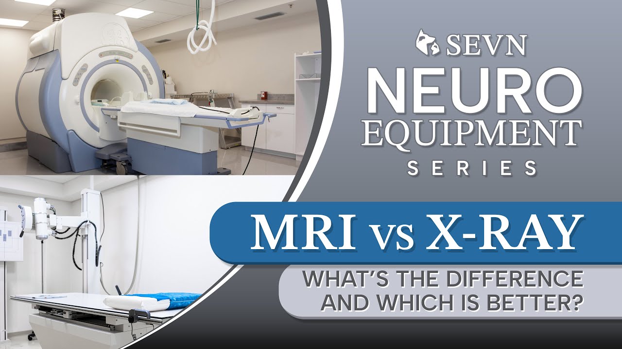 МРТ или рентген для собак: в чем разница и что лучше?