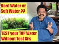 Hard Water Aquarium & Soft Water Aquarium Fish | How to Test Tap Water Quality | Aquarium Water Test