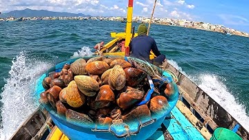 Hai Anh Em May Mắn Gặp Ngay Chỗ Sò Dương Ghẹ Bạch Tuộc Mực Nang | P 405