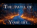 Find your purpose in life and reach TRUE happiness and success - Rabbi Alon Anava