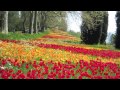 Insel Mainau  -  Paradise