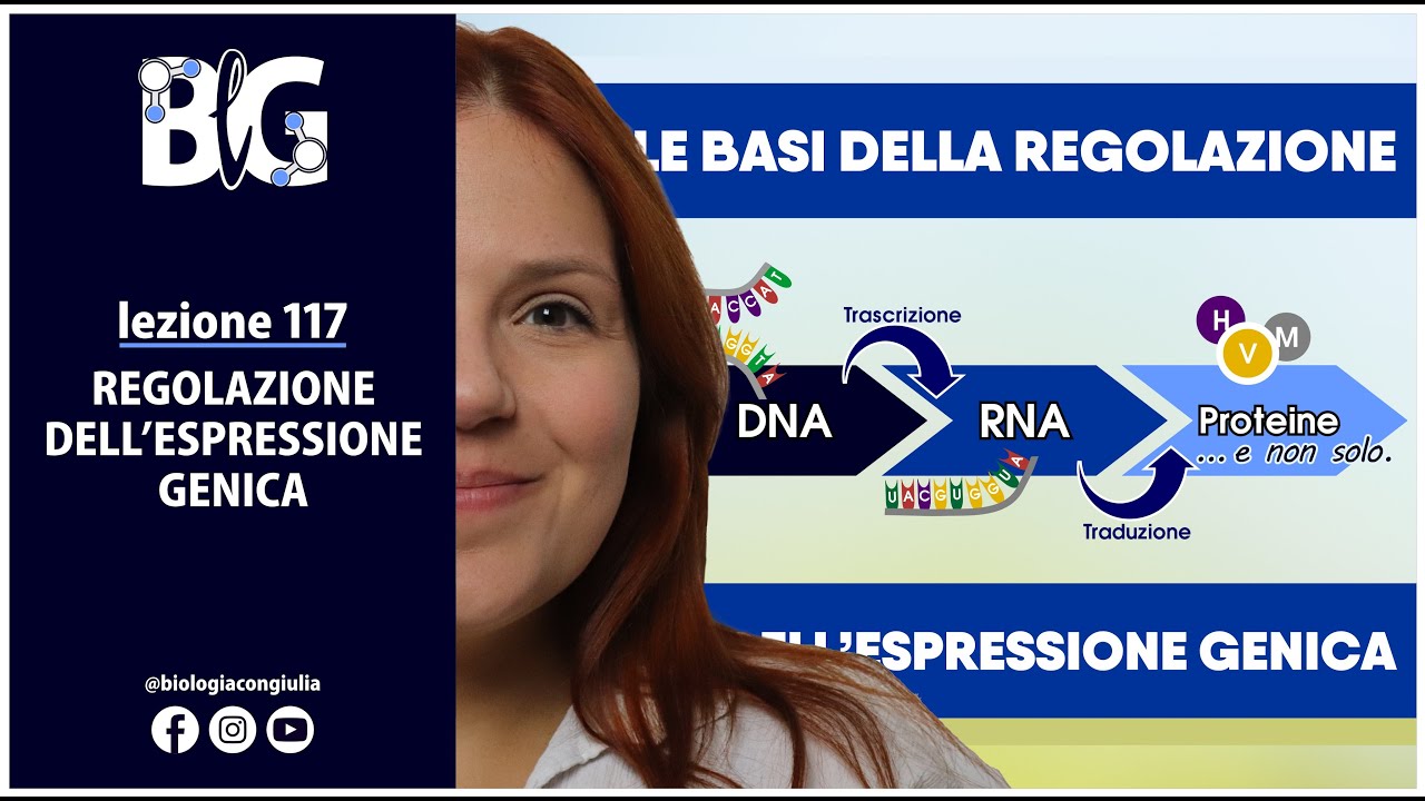 REGOLAZIONE DELL'ESPRESSIONE GENICA - LE BASI