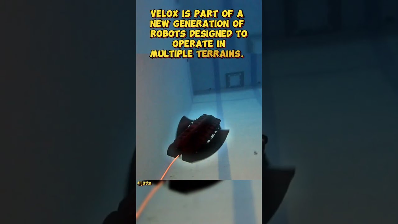 Velox amphibious Fish 🐟?? 