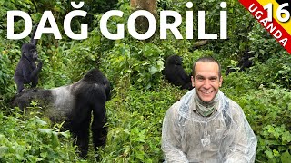 Going to see Mountain Gorillas - legendary end to Uganda