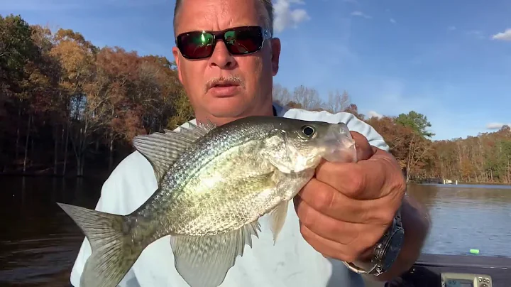 The Brush Pile - Crappie Fishing - High Rock Lake