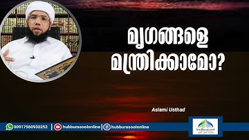 മൃഗങ്ങളെ മന്ത്രിക്കാമോ? | Latest Islamic Speech | Aslami Usthad | Hubburasool Online