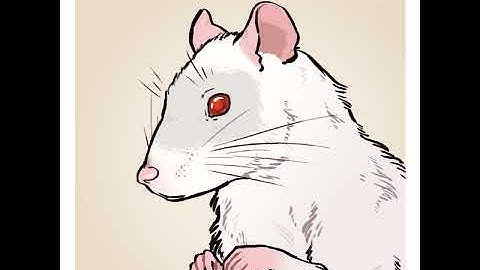 !Discord !clip | interactable Noita Stream