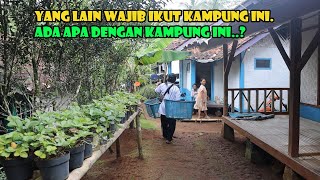 Kampung Yang Lain Meski Ikut Kampung Ini..Mengapa Demikian..???