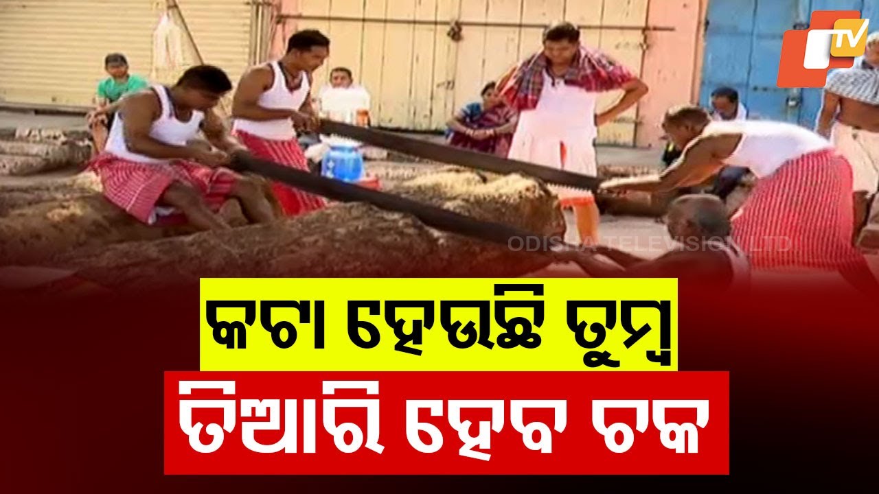 Rath Yatra Preparations Intensify as Work Begins on Taladhwaja Chariot in Ratha Khala