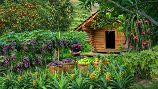 Living in the forest, gardening, grape harvesting, pineapple, and guava fruit to market sell