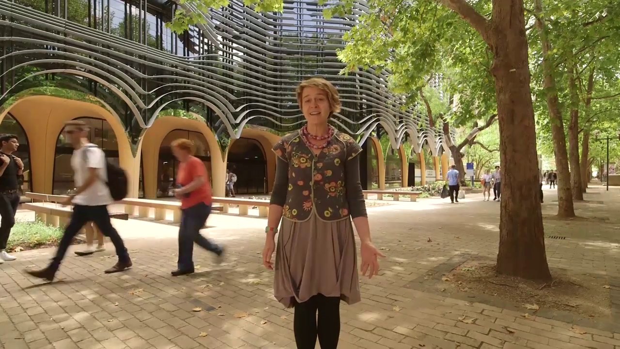 Art West Quick Guide (Music)