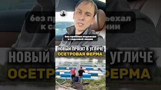 Новый проект в Угличе. Осетровая ферма #иваносетр #рыбалка #рыбоводство