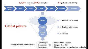 Webinar: Protein Microarray for Systematic Deciphering of SARSCoV2-Specific Humoral Immune Responses