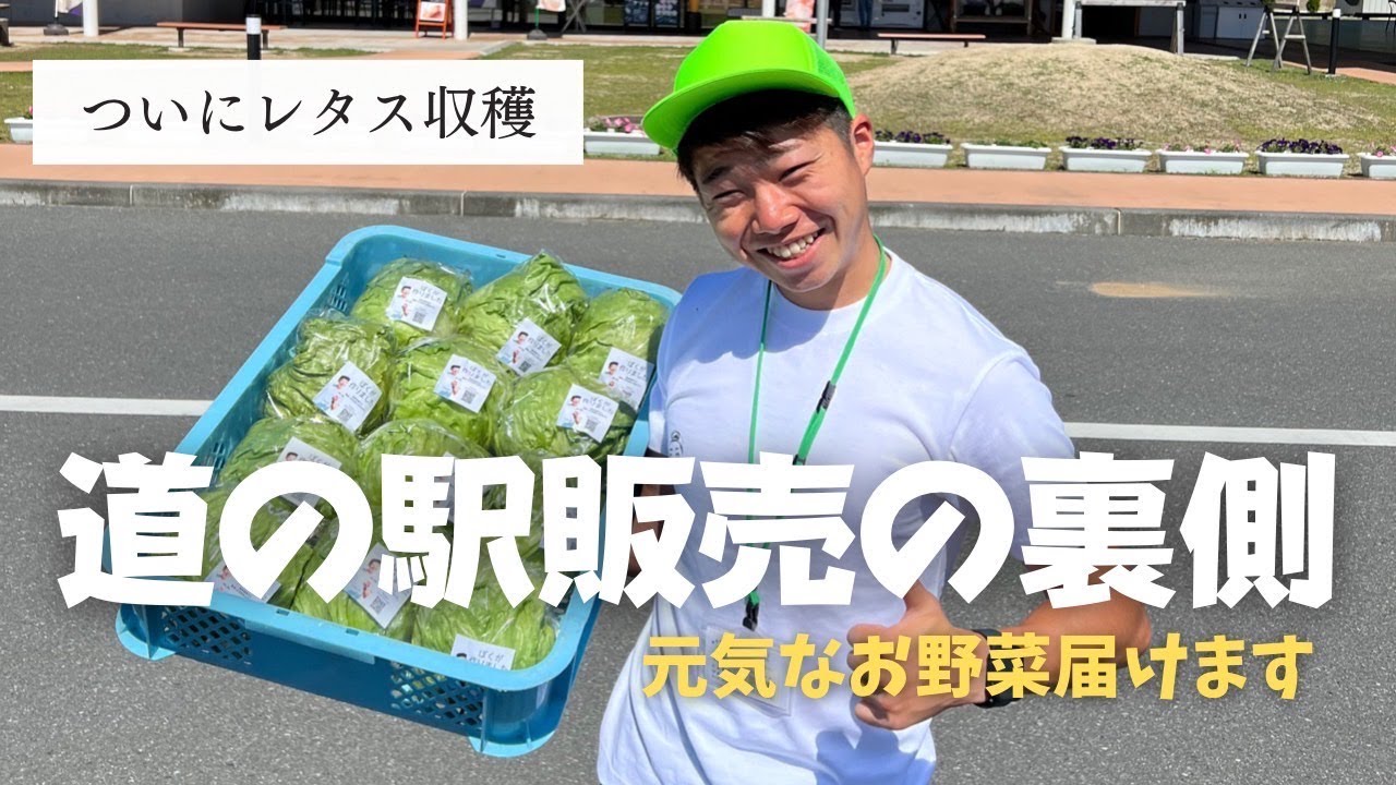 【道の駅販売の裏側】元気なお野菜届けます　#兼業農家#直売所出荷#農業