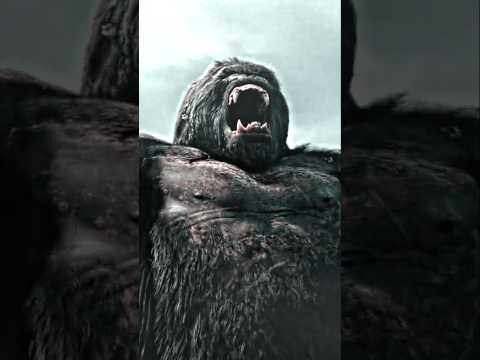 *T-Rex Vs. KONG' | King Kong (2005) | Fragment - Slxughter (slowed) #edit #shorts