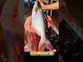 Amazing Fish Cutting Skills | Fish Market #shorts #fish #fishcutting