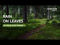 Rain on Leaves in the Deep Forest - 10 Hours Sleep Sound - Black Screen