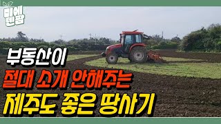 제주도 좋은 땅 사기! 부동산만 가서는 살 수 없어