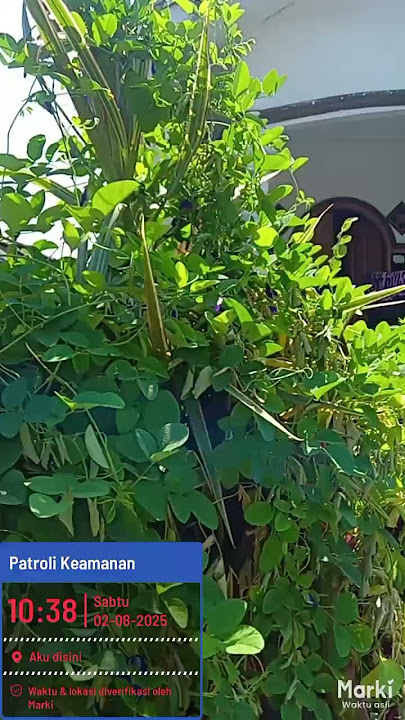 jadikan lelah mu menjadi lillah agar hasilnya menjadi berkah 🤲🤲
