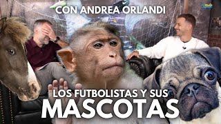 LAS MASCOTAS DE LOS FUTBOLISTAS | CON ANDREA ORLANDI