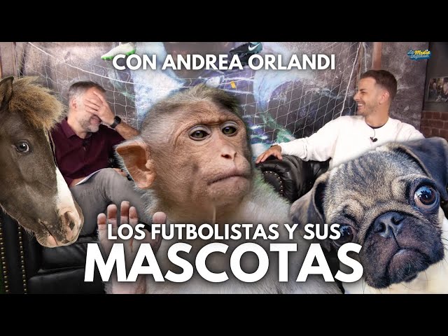 LAS MASCOTAS DE LOS FUTBOLISTAS | CON ANDREA ORLANDI class=