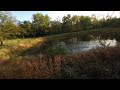 VR Nature walks, Lily Jumping in pond - Oct