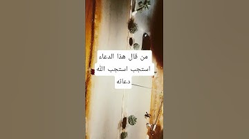 #تلاوة_مؤثرة من قال هذا الدعاء استجب الله دعائه #اكسبلور #دويتو #الرحمن #الق #لايك #المصحف #ا #دعاء