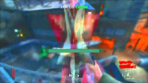 Cod WaW:Motion Flex v1.2 Mods