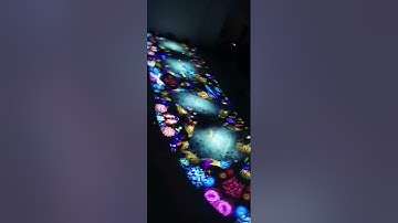 IR Camera motion  capture TOP Quality for  interactive floor woking in Hotel