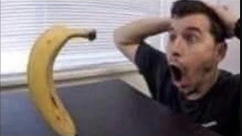 Not Even a Thinning Layers Completion (Roblox The NEAT Project)