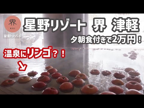 【りんご風呂にかまくら体験】冬の青森を満喫できるコスパ最高の温泉旅館！星野リゾート界津軽【宿泊費用も公開！】