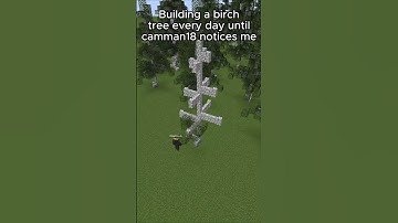 Building a birch tree every day until @camman18 notices me (Day 80)