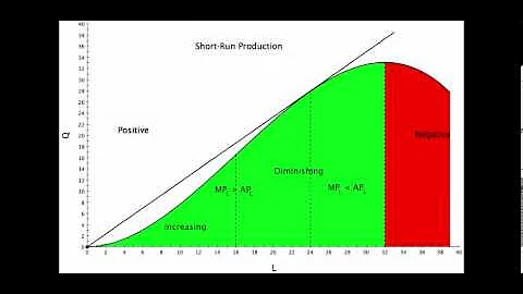 Short-Run Production