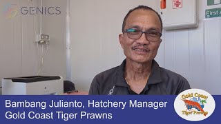 Gold Coast Tiger Prawns' Bambang Julianto & Genics' Melony Sellars talk aquaculture optimization