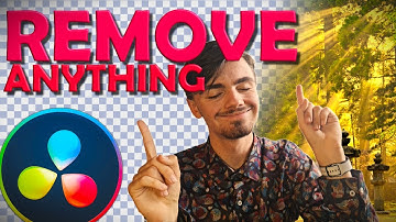 Remove ANY Object | Magic Mask Tutorial Davinci Resolve