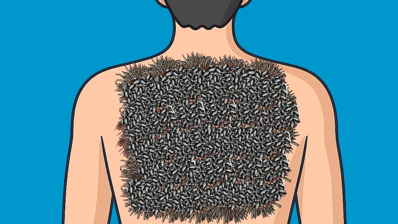 Asmr / Back massage asmr / Soothing animation back cleaning 🩵🩵 - YouTube
