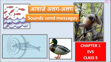 Class 5 EVS Chapter 1 | आवाज़ें अलग - अलग | Sounds send messages | Super Senses | Rose Tree |