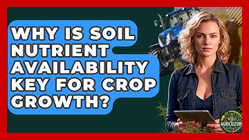 Why Is Soil Nutrient Availability Key For Crop Growth? - The World of Agriculture