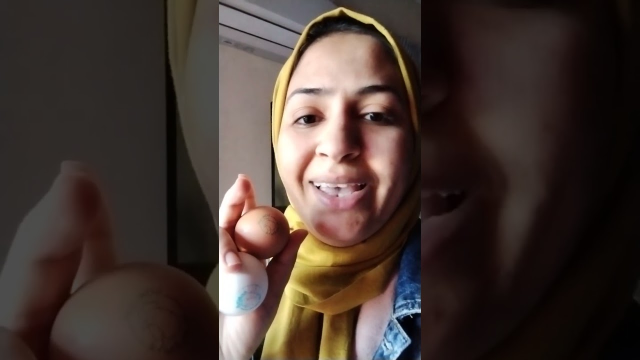 الفرق بين البيض الاورجانيك و البيض العادى و أيهما احسن من ناحية الطعم و القيمة الغذائية 🥚🥚🍳🍳